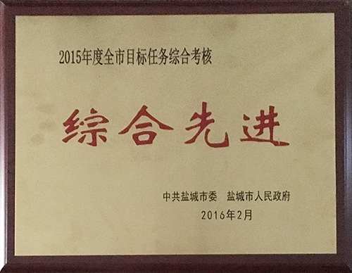 2016年2月全市目標(biāo)任務(wù)綜合考核綜合先進(jìn).JPG